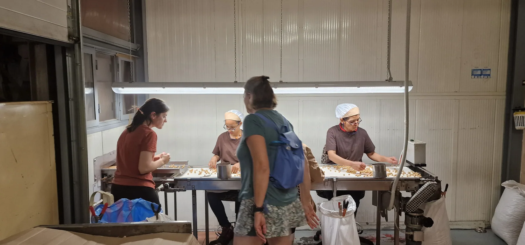 Atelier de transformation des noisettes chez un producteur du Piémont.